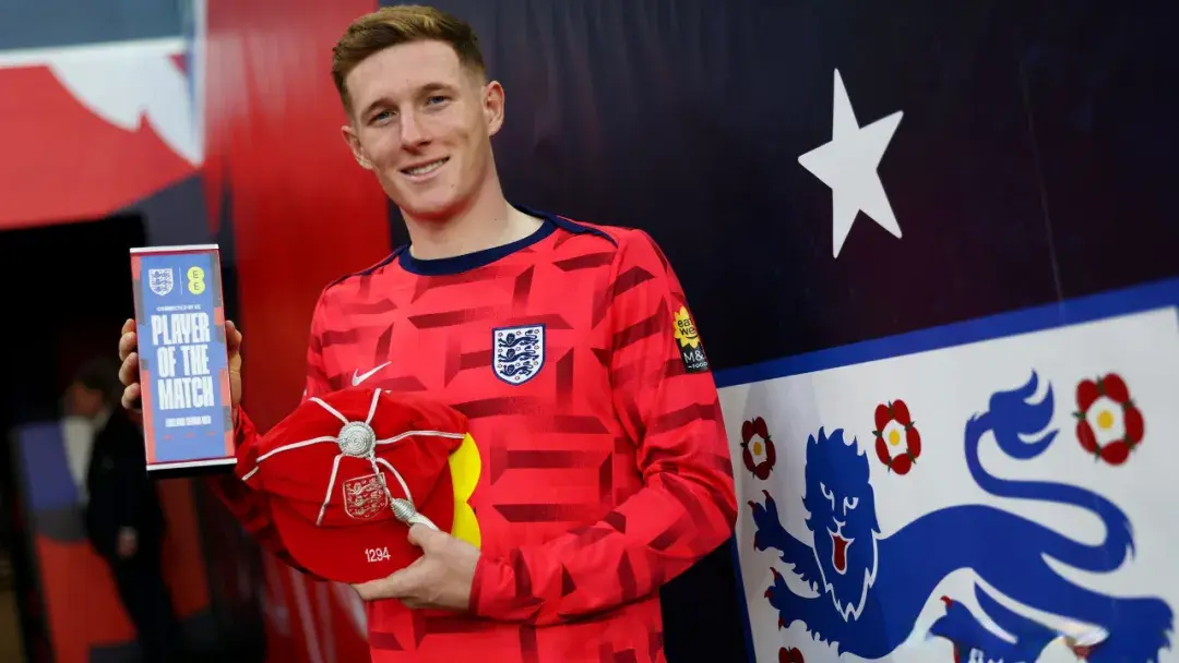 新星, 新星, 下一个重要 新星, 新星, 下一个重要